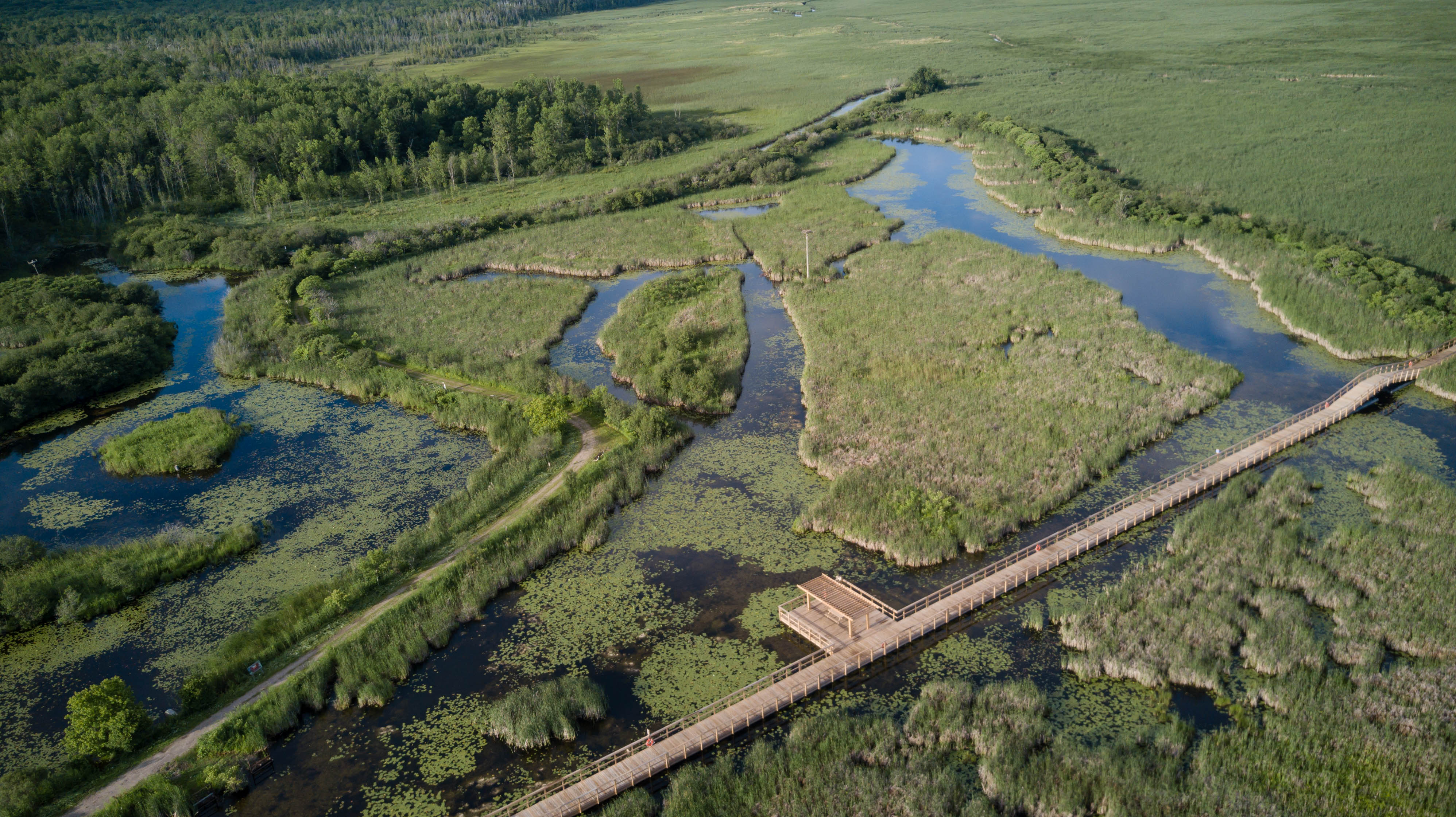 Wye Marsh Wildlife Centre