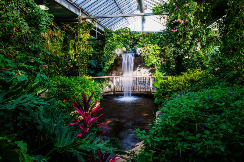 Cambridge Butterfly Conservatory