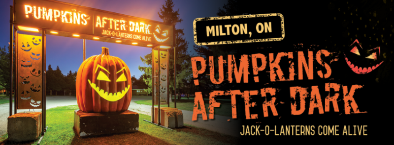 Pumpkins After Dark