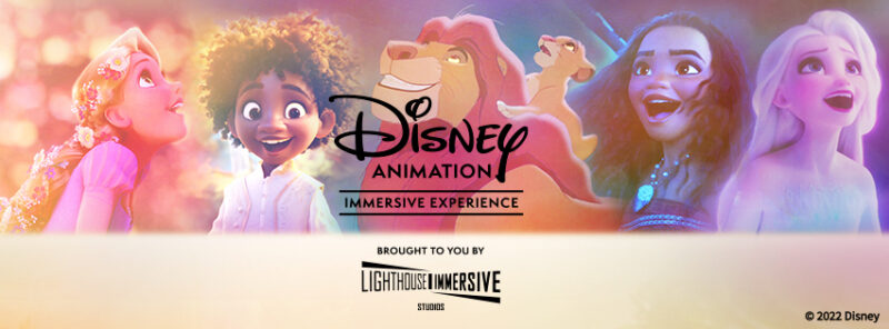 Disney Animation: Immersive Experience