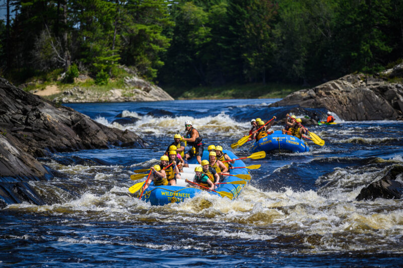 Wilderness Tours Raft & Kayak Resort